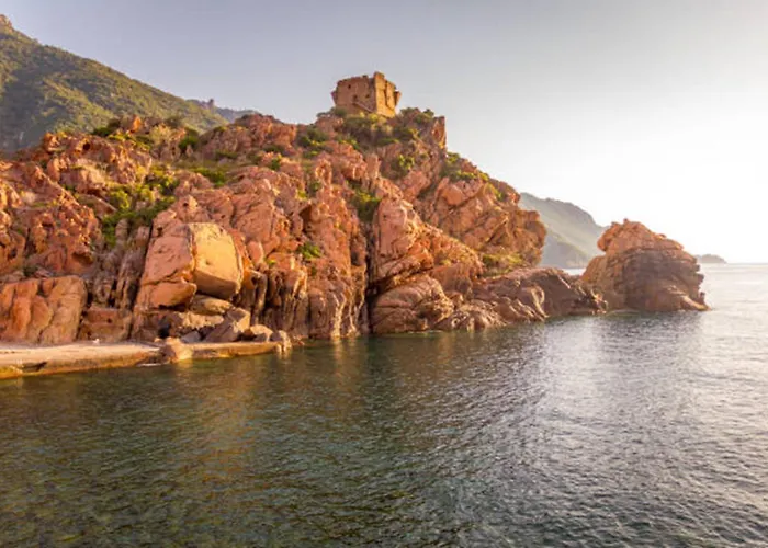 Ideal Hotell Porto (Corsica)