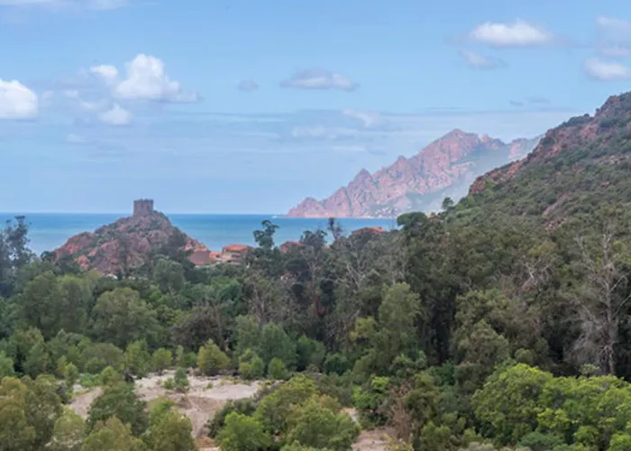 Ideal Porto (Corsica)