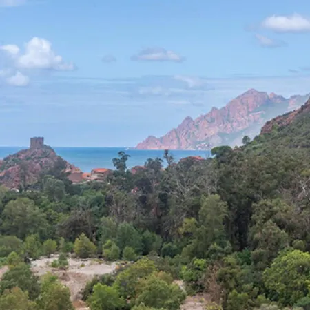 Ideal Porto (Corsica)