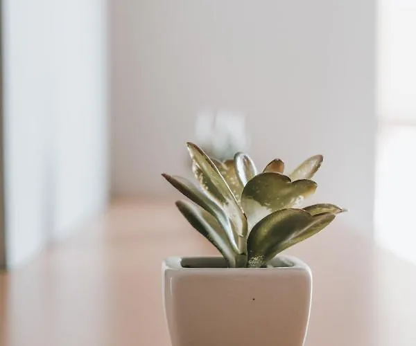 Hotel Idéal Porto (Corsica)